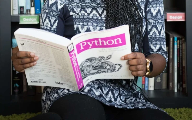 Python book