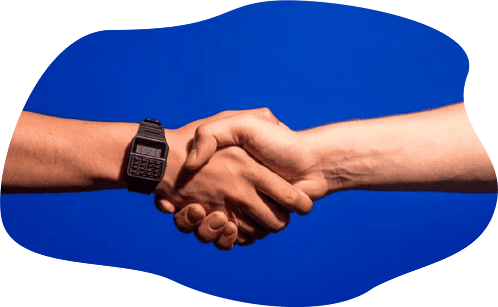 Partners hand shake