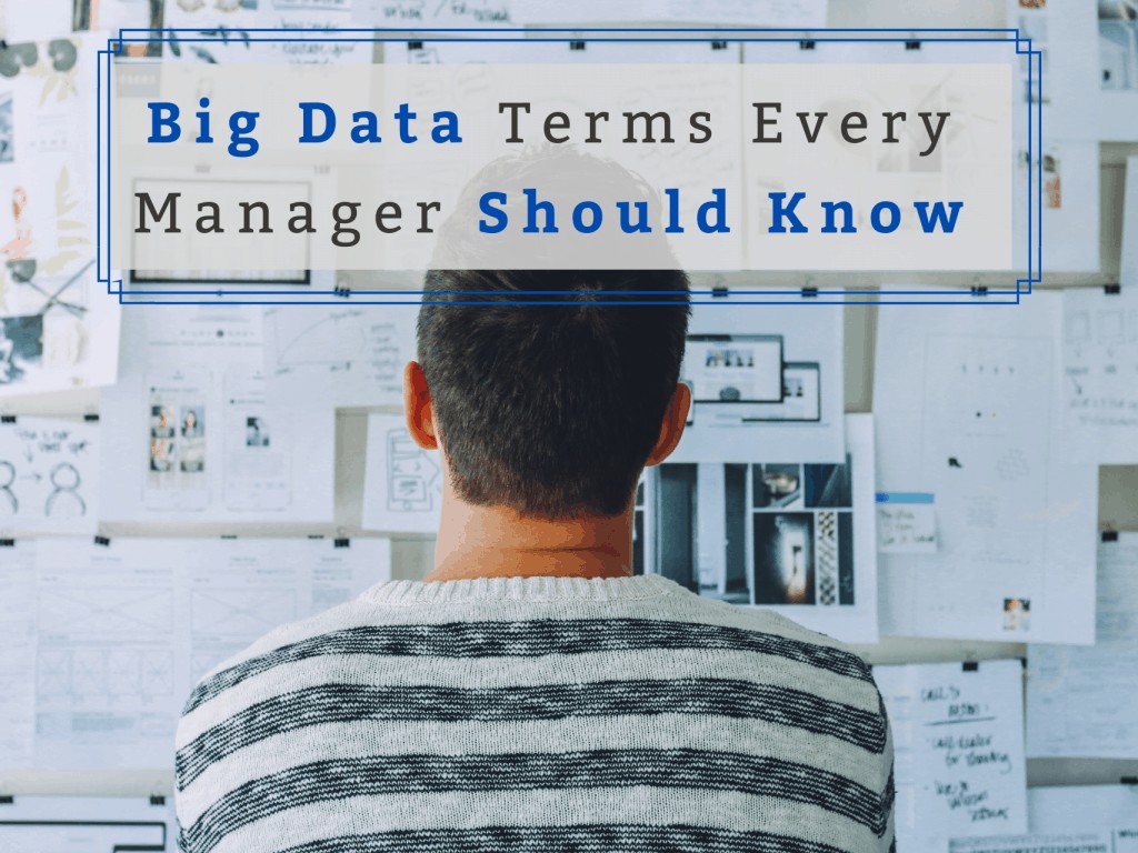 Big Data Terms Every Manager Should Know Premium Software Development