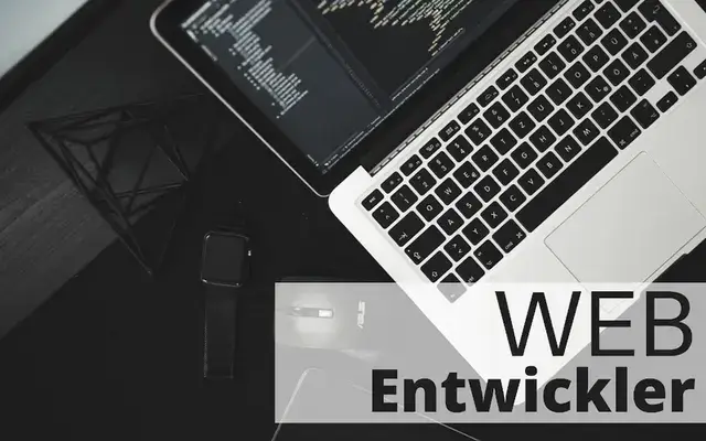 Web Entwickler
