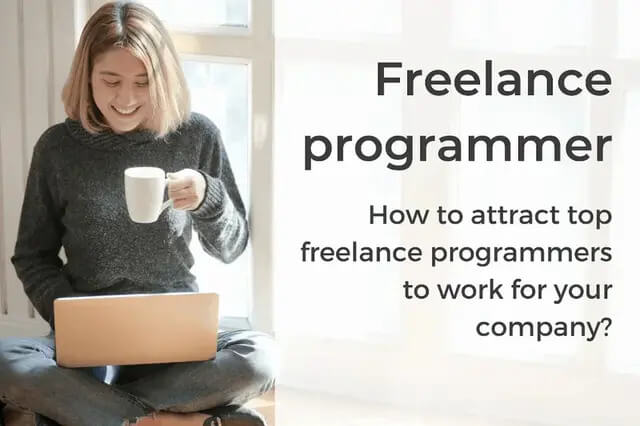 Freelance programmer