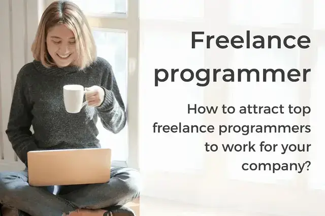 Freelance Programmer