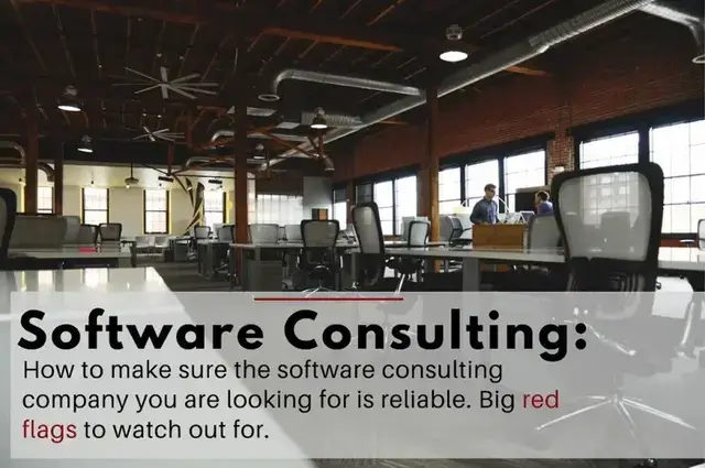 Software Consulting