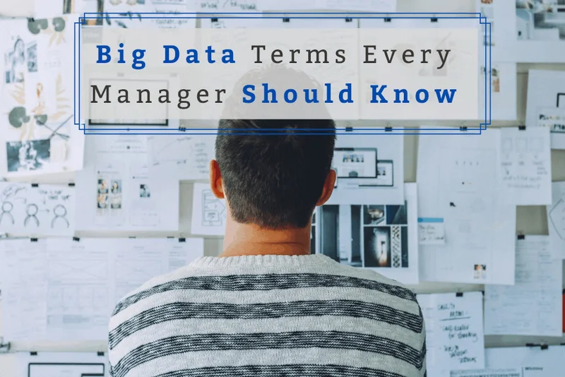 Big Data Terms Every Manager Should Know
