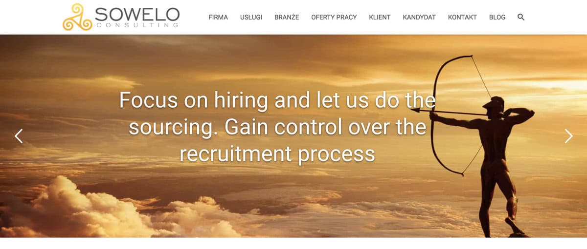 Sowelo Consulting website screenshot