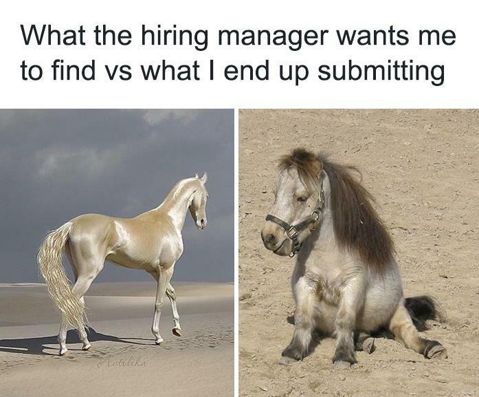 Hiring manager meme