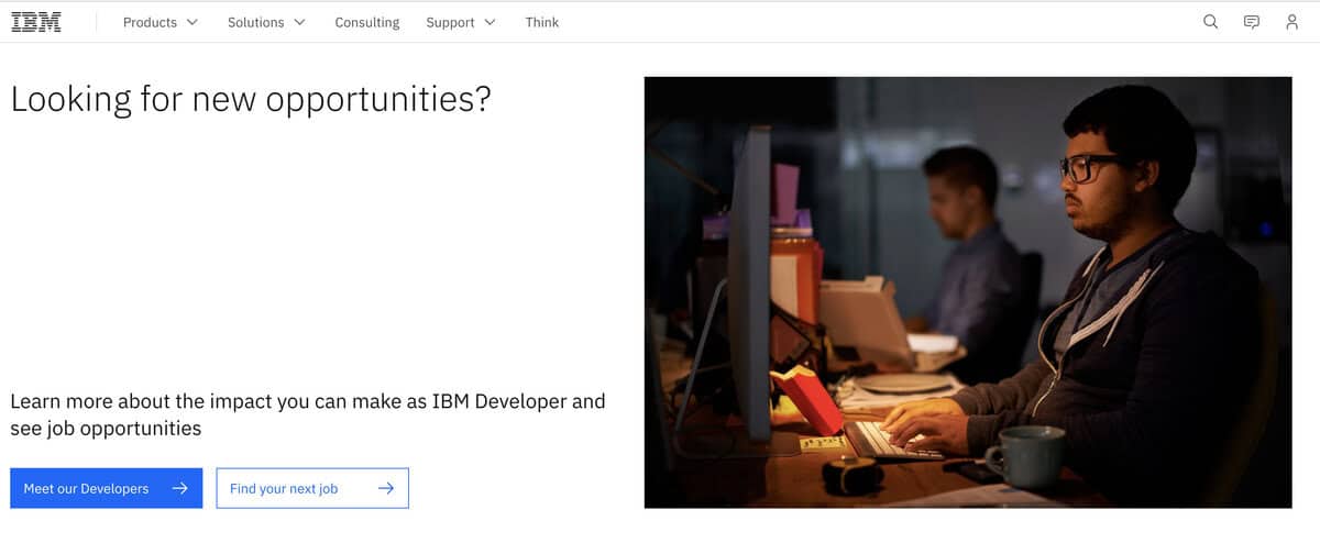 IBM website
