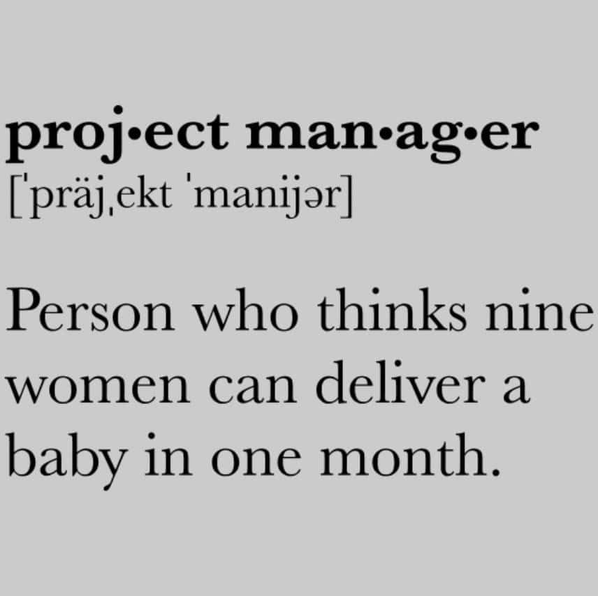 project management meme
