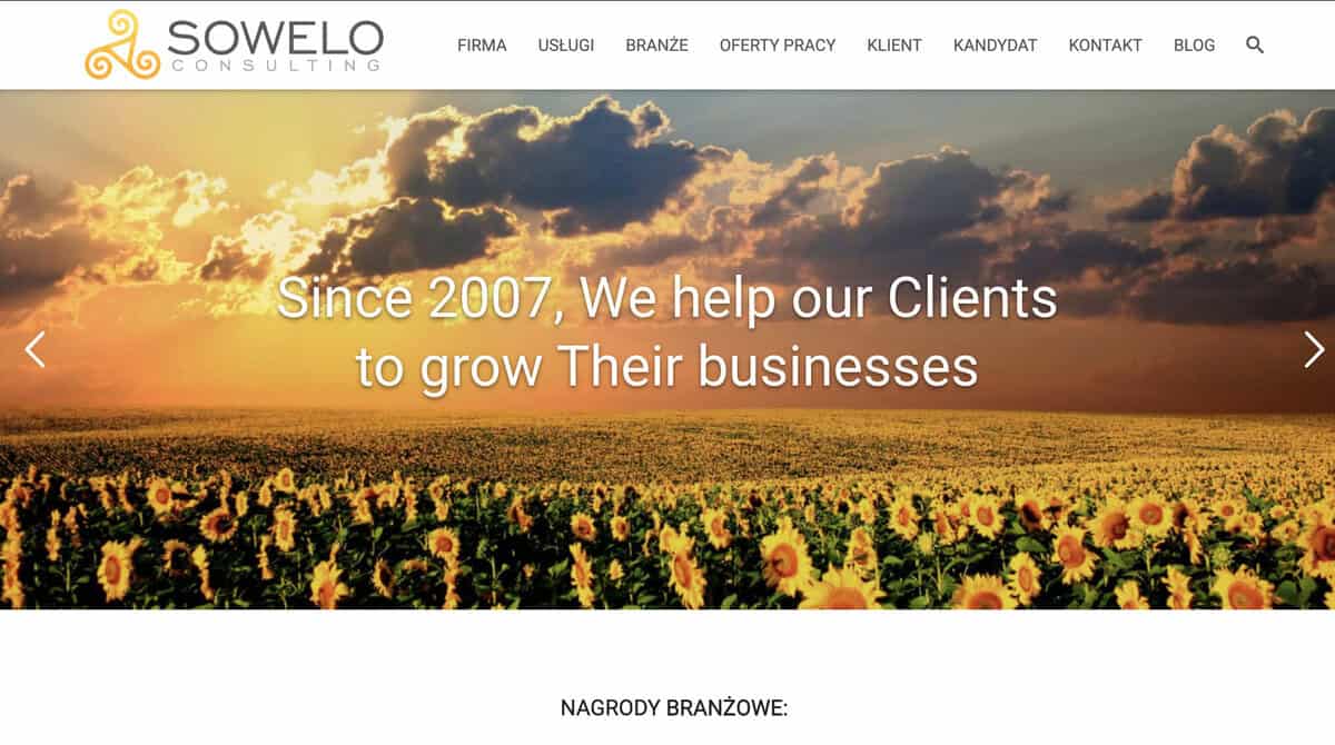 Sowelo Consulting website screenshot