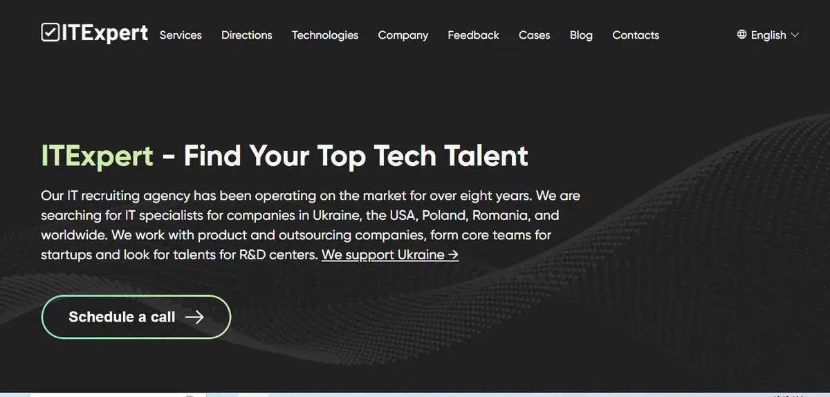 IT Expert website