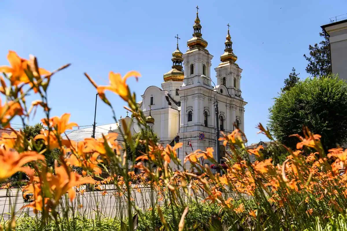 Top IT Recruitment Agencies in Vinnytsia, Ukraine