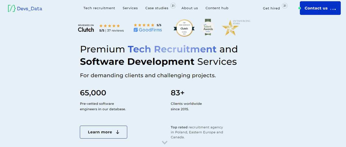 DevsData LLC website screenshot