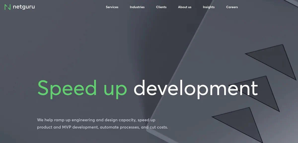 Netguru website screenshot