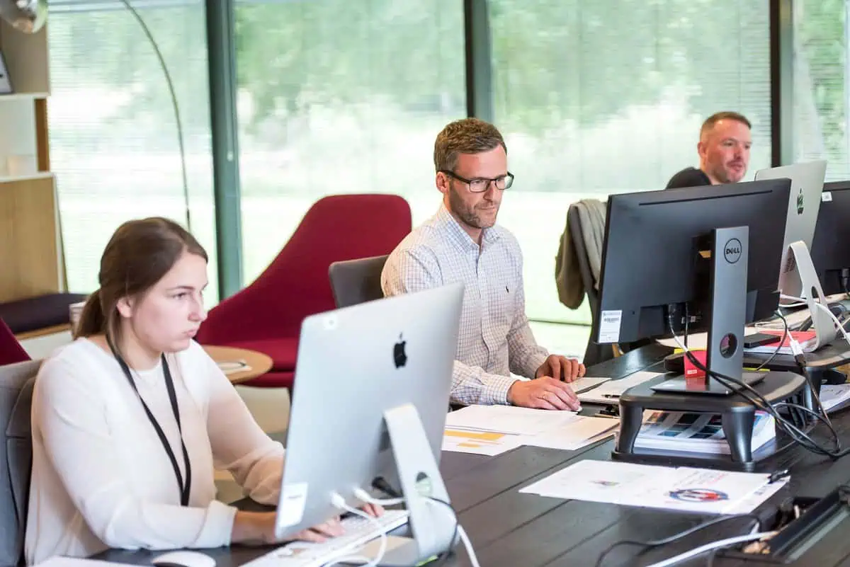 SharePoint / PowerApps Support Job Description Template