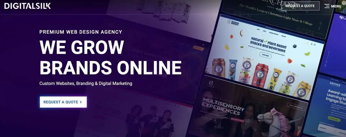 Digital Silk Website Screenshot