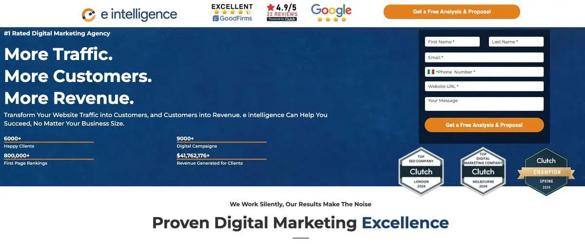 e-intelligence Website Screenshot