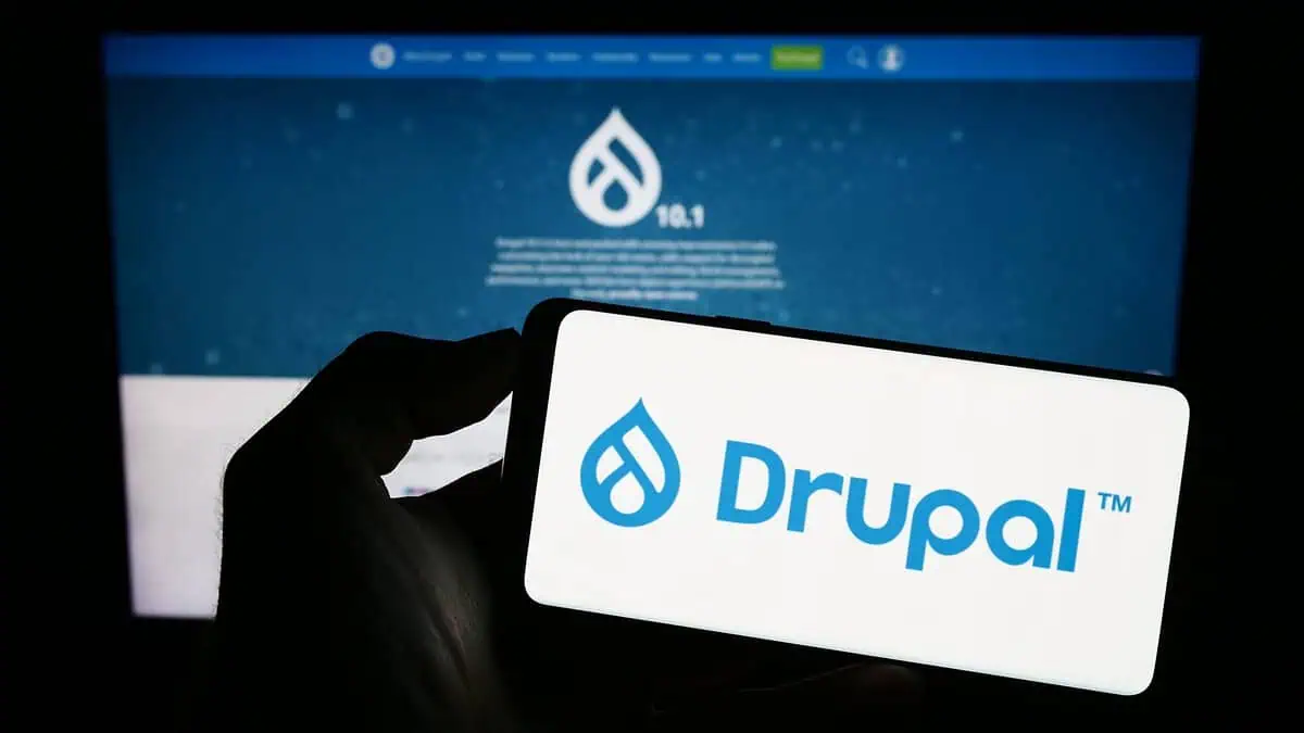 Drupal Web Development Services: Top 7 Agencies