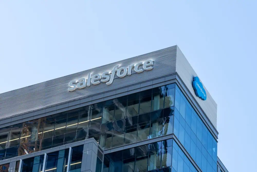 Salesforce Business Analyst Job Description Template