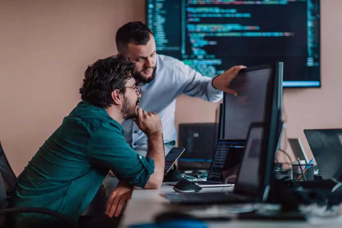 Senior IT Manager Job Description Template