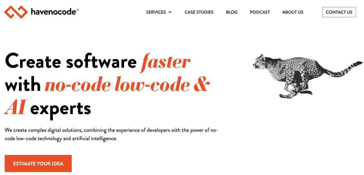 Havenocode Webpage testimonial