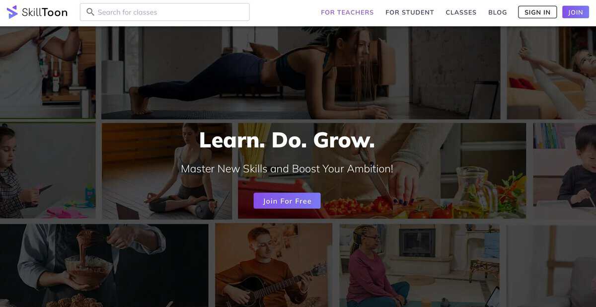skilltoon Webpage testimonial
