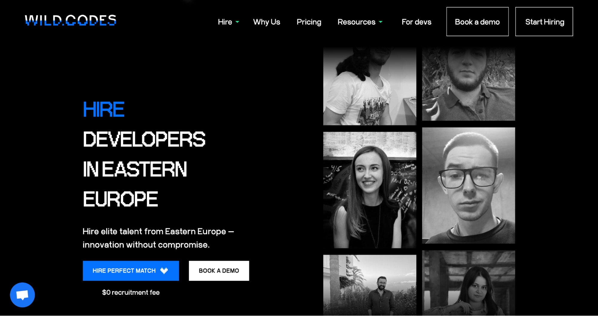 Wild.Codes website testimonial