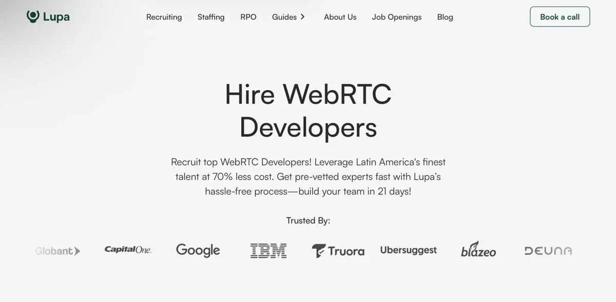 Lupa website screen