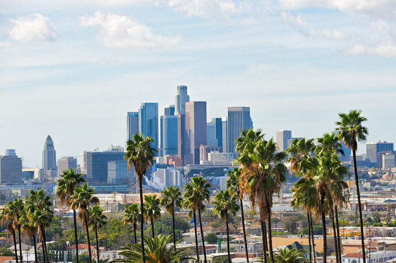 IT Staffing Agencies Los Angeles: Our Experience