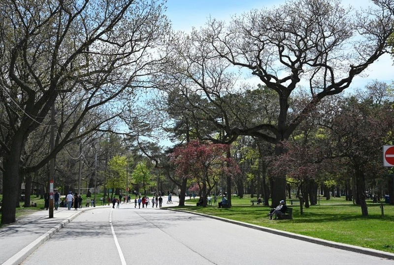 High Park