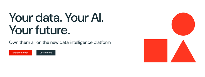 Databricks website screenshot