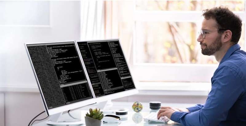 Power BI Developer working main image