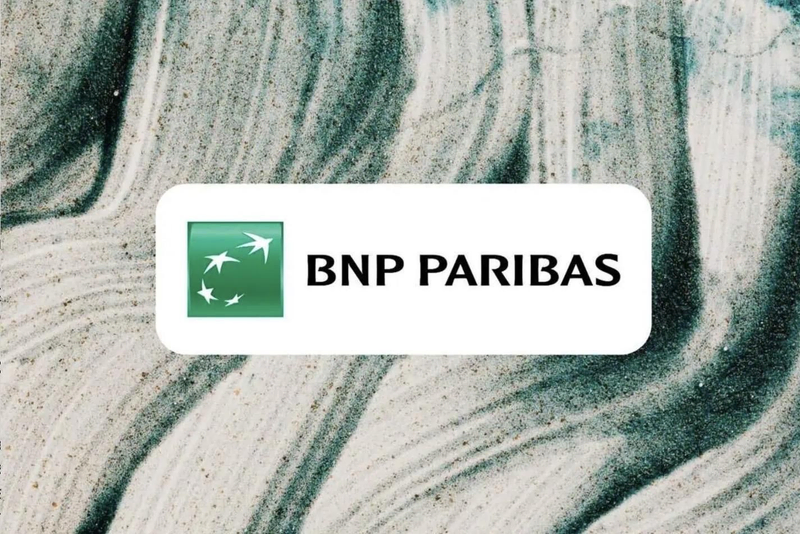 BNP Paribas case study cover