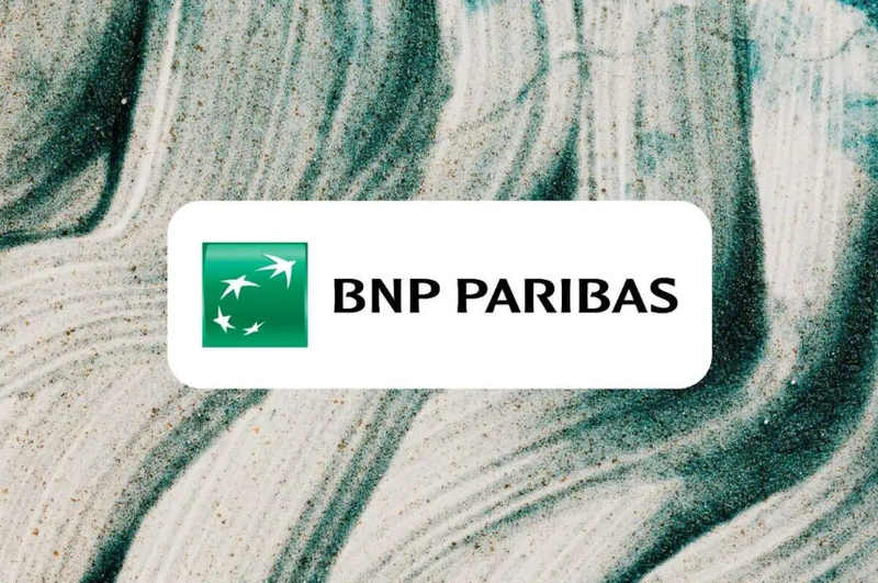 BNP Paribas case study cover