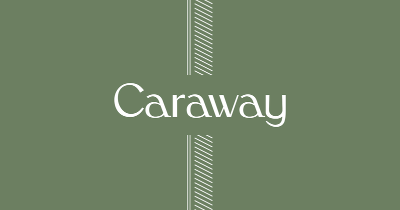 Caraway, Inc. – IT recruitment of a software engineering lead for a large American eCommerce brand