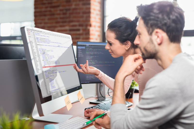 IT specialists