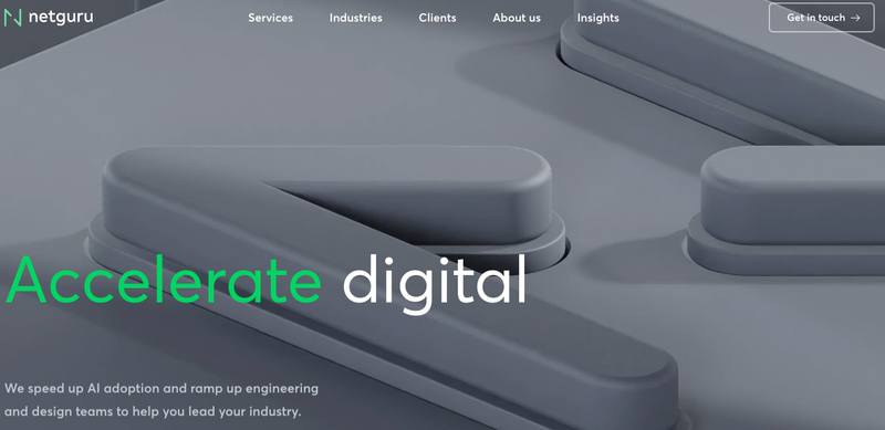 Netguru website screen