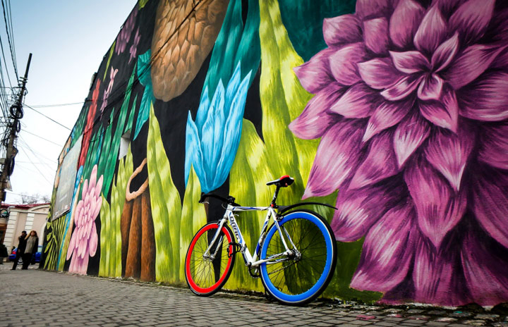 Strada Pictor Arthur Verona, Bucuresti, Romania