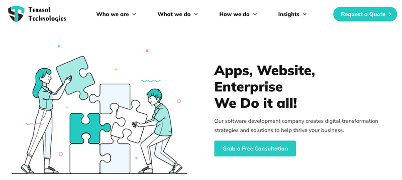 Terasol Technologies Website