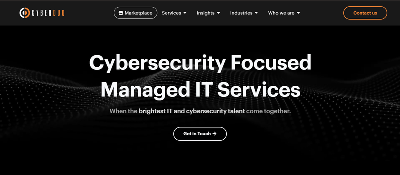 CyberDuo website