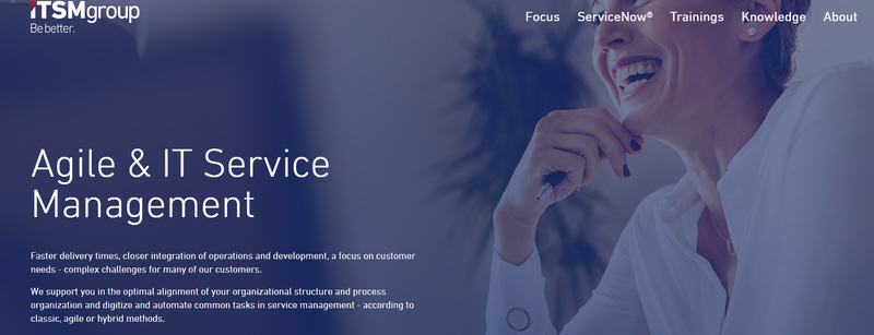 iTSM Group website