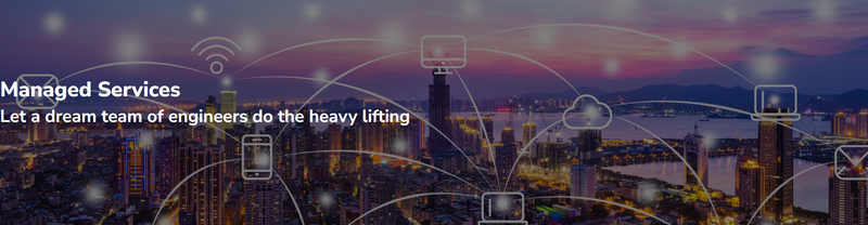 NGT Solutions website