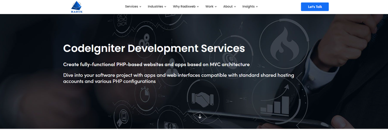 Radixweb website
